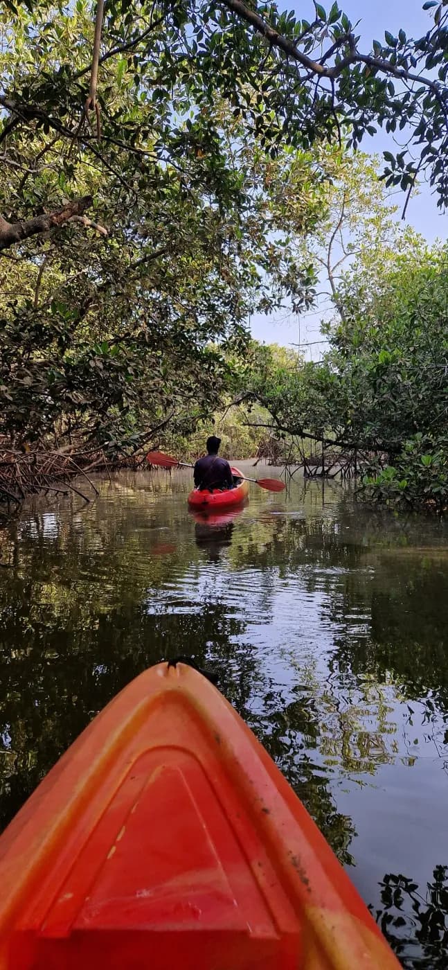 Piragua por los bolongs