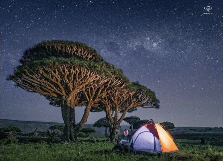 Campamentos bajo las estrellas