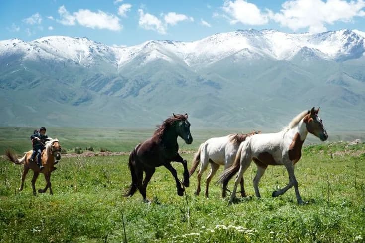 Travesía a caballo