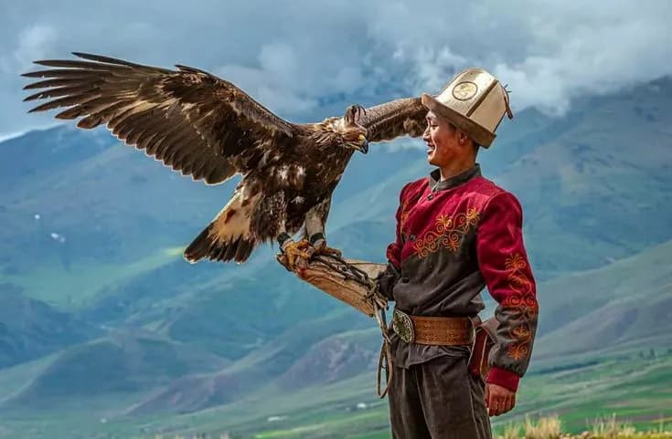 Cetrería con águilas reales