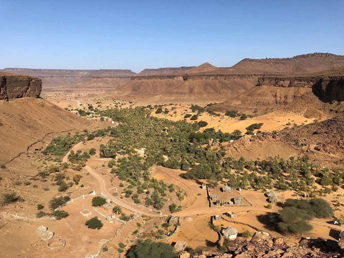 Oasis
